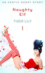 Naughty-Elf-1-Cover-250x156